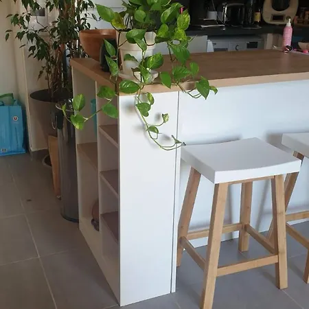 Montpellier, Magnifique T2 Cosy Avec Jardin * Montpellier